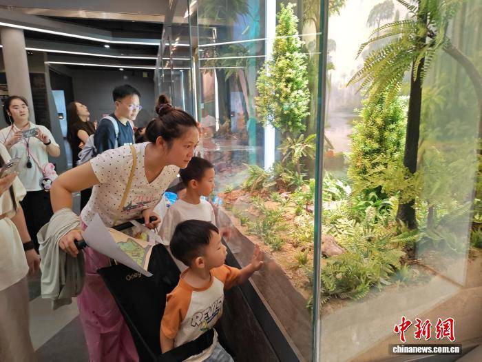 縣域文旅觀察：浙江安吉如何打造暑期旅遊“新意”？