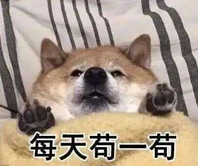 哈佛重倉SpaceX，加州大學持倉10億，是投機還是2027留學最大賽道訊號？