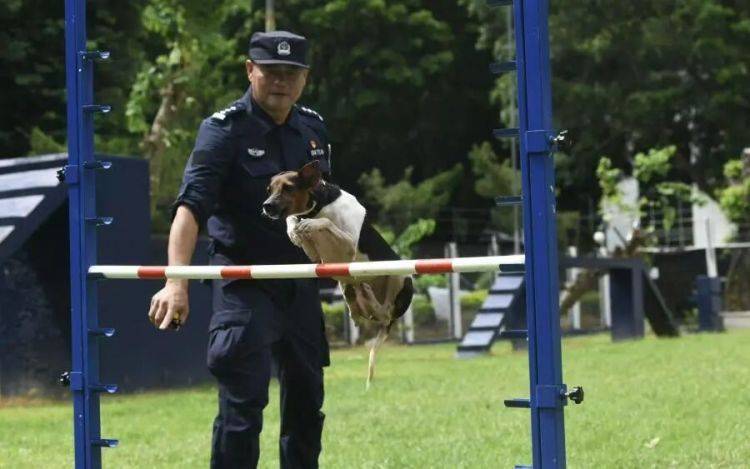老人被困狹窄樓宇夾縫長達15小時意識模糊，廣州1歲小狗快速鑽進去幫忙將人救出
