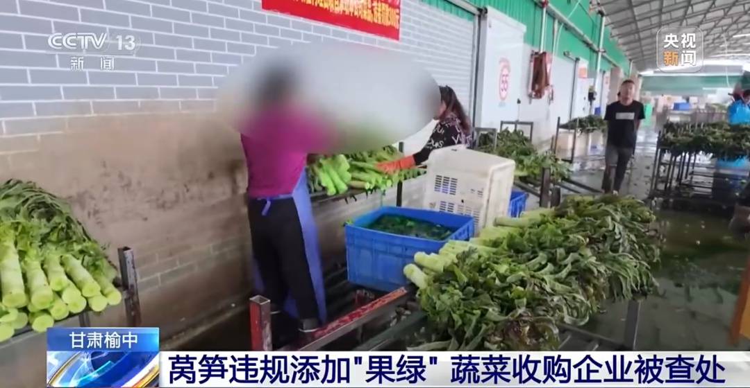 榆中對全縣53家蔬菜收購倉儲企業進行全覆蓋檢查，銷燬11.8噸“果綠” 染色萵筍