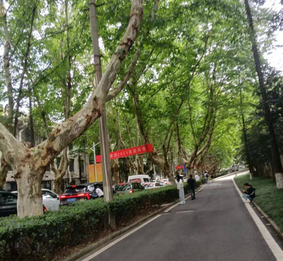 大學生一個月1500元生活費夠嗎？小葉親自來大學食堂吃飯，說說我的看法