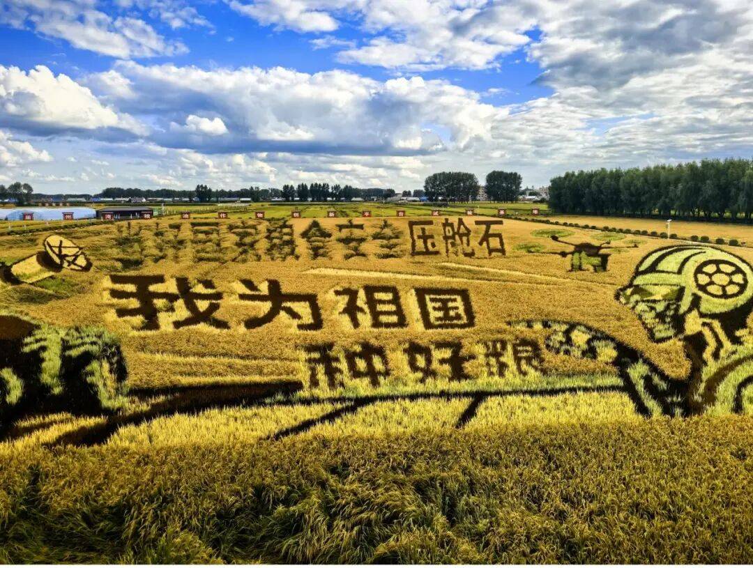 活力中國調研行｜黑土地，新農事