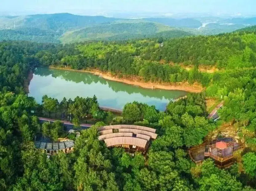 南京釋出大學新生福利！戳這裡→