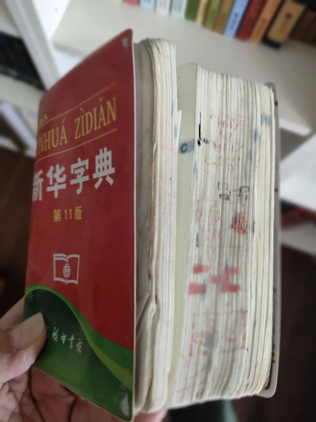 小學生必備的中英文字典詞典&地圖和地球儀 | 真心爸媽書單