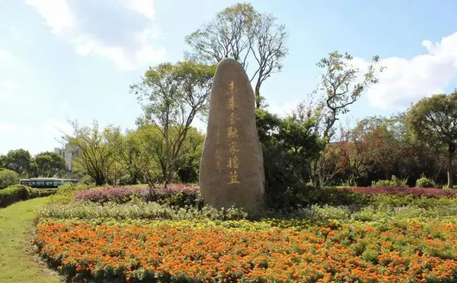 上海立信會計金融學院就業怎麼樣？深度參與實戰課題，練就硬核能力，畢業履歷更有含金量