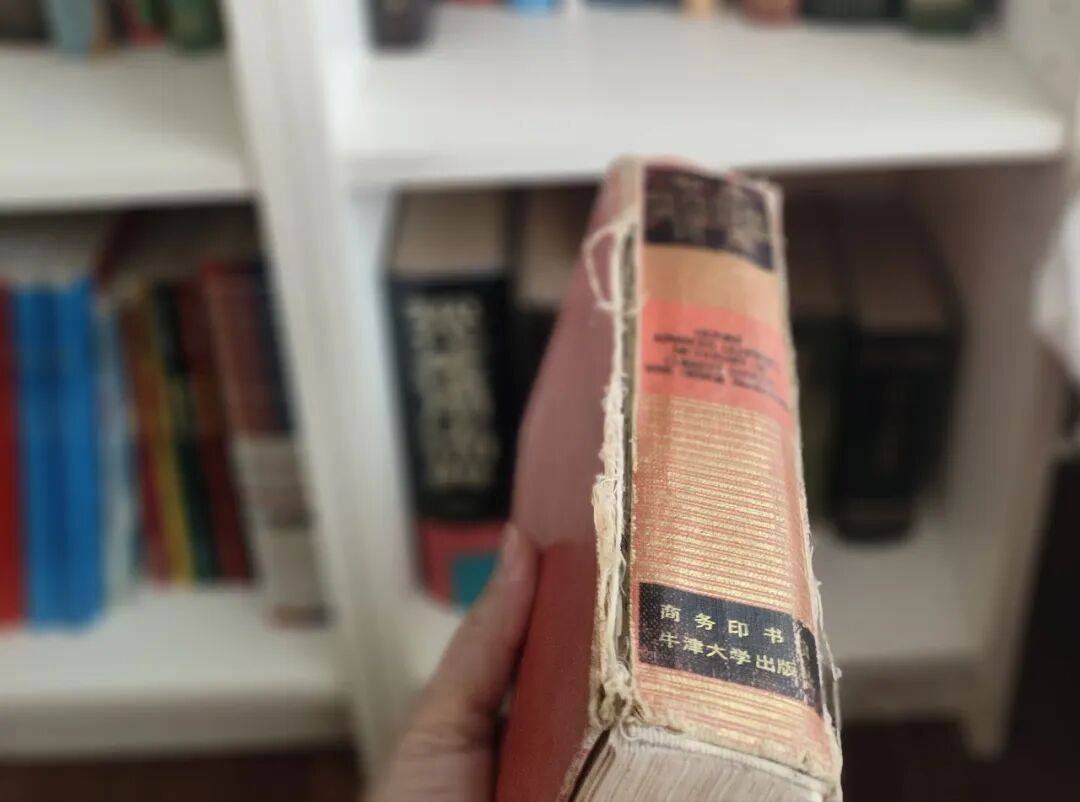 小學生必備的中英文字典詞典&地圖和地球儀 | 真心爸媽書單