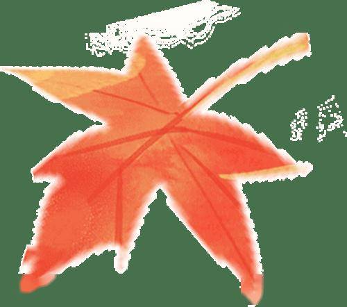 【婦產人文】“溫情護桑榆 服務暖人心”——婦科微創中心用心做好老年女性就醫保障