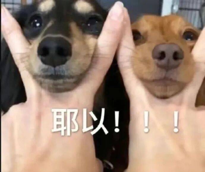 “當代研究生送禮現狀...？”哈哈哈給啥都不缺的導師送個他看不上的禮物！
