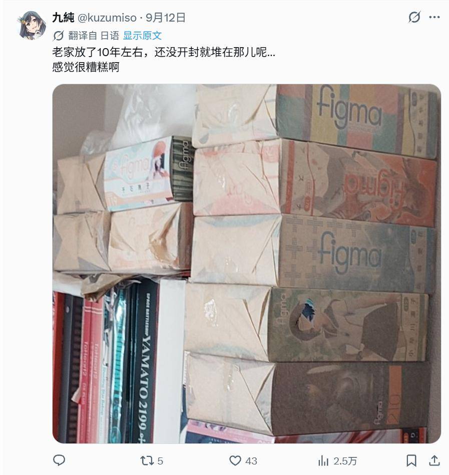 原創手辦不拆反而更容易壞？日本收藏家崩潰：我放盒裡好多年了